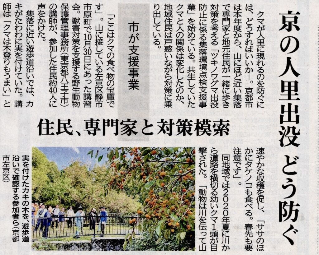 京の人里クマの出没どう防ぐ