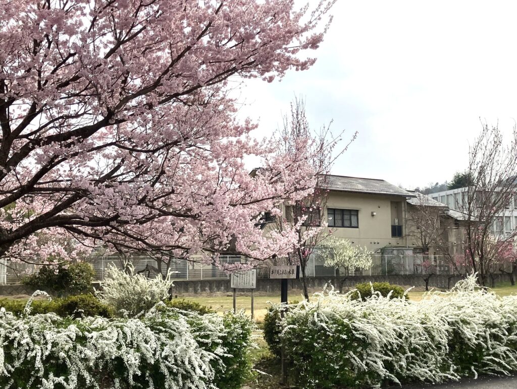 市原野会館　コピー料金改定のお知らせ